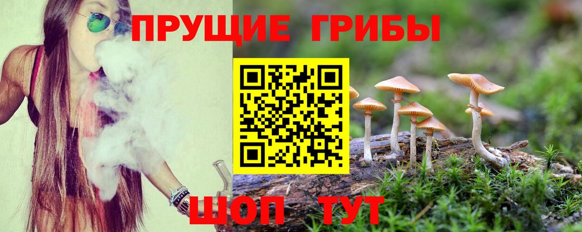 Галлюциногенные грибы Psilocybine cubensis  Вход с VPN  Киреевск  Галлюциногенные грибы Psilocybine cubensis 